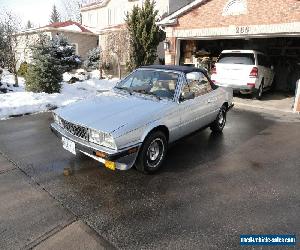 Maserati: Spyder zagato spyder