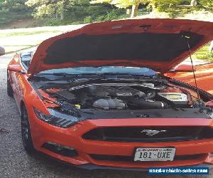 2015 Ford Mustang