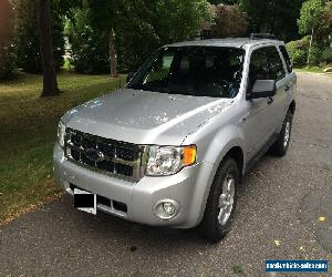 Ford: Escape XLT