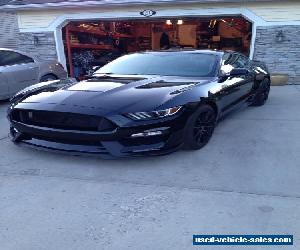 Ford: Mustang SHELBY