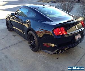 Ford: Mustang SHELBY