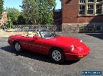 Alfa Romeo: Spider Spider for Sale