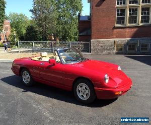 Alfa Romeo: Spider Spider