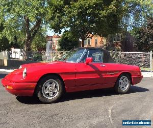 Alfa Romeo: Spider Spider