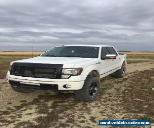 2009 Ford F-150