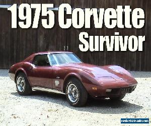 1975 Chevrolet Corvette for Sale