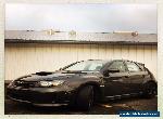 Subaru: Impreza WRX STI for Sale