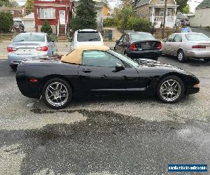 2000 Chevrolet Corvette Base Convertible