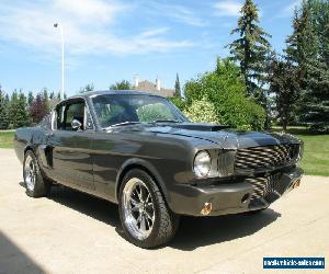 1965 Ford Mustang GT350 TRIBUTE