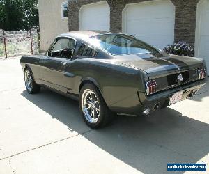 1965 Ford Mustang GT350 TRIBUTE