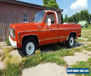 1973 Chevrolet Other Pickups Base