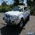 2006 Nissan Navara D22 S2 ST-R White Manual 5sp M 4D UTILITY for Sale