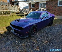 Dodge: Challenger Supercharged for Sale