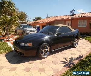 1999 Ford Mustang