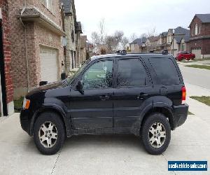 Ford: Escape XLT, Limited