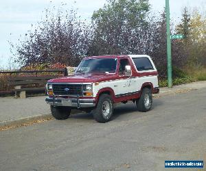 1984 Ford Bronco