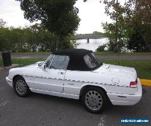 Alfa Romeo: Spider VELOCE