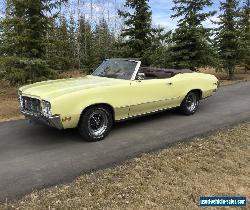 Buick: Skylark for Sale