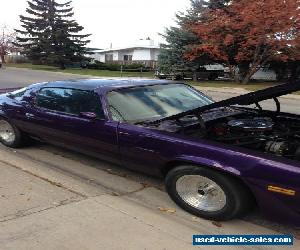 1979 Chevrolet Camaro Special Edition Smoked Glass T-Top 