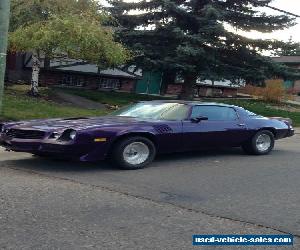 1979 Chevrolet Camaro Special Edition Smoked Glass T-Top 