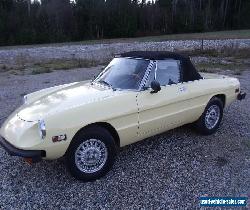 1976 Alfa Romeo Spider for Sale