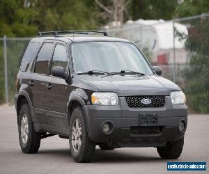 Ford: Escape XLT