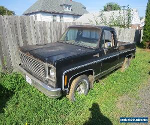 1977 Chevrolet Other Pickups Scottsdale