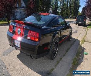 2007 Ford Mustang GT500 SuperSnake clone 767HP, 5 more cars 4 sale