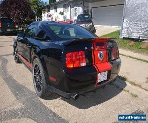 2007 Ford Mustang GT500 SuperSnake clone 767HP, 5 more cars 4 sale