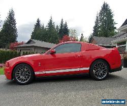 Ford: Mustang Shelby GT500 for Sale