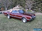 Oldsmobile: Cutlass for Sale