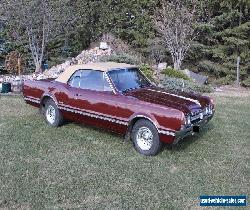 Oldsmobile: Cutlass for Sale