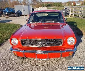 1965 Ford Mustang Fastback 2+2