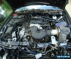 2007 Ford Mustang Shelby GT