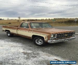 1979 Chevrolet C-10 Silverado