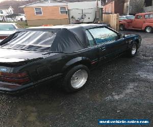 1984 Ford Mustang LX Convertible 2-Door