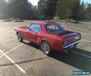 1965 Ford Mustang coupe