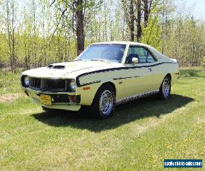 AMC: Javelin Mark Donohue 