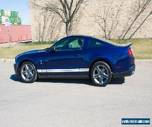 Ford: Mustang Shelby GT500