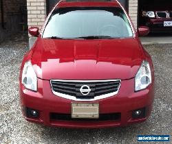 Nissan: Maxima SL for Sale