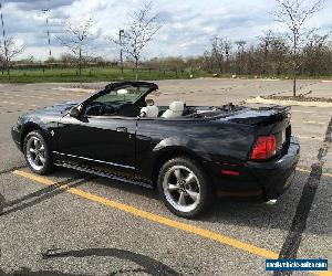 1999 Ford Mustang