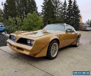 1978 Pontiac Trans Am FIREBIRD