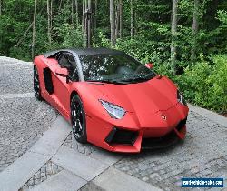 Lamborghini: Aventador Aventador  for Sale