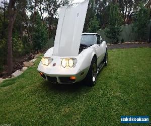 1973 Corvette Stingray with Side Pipes - USA Muscle Car - FULL 5min Video 