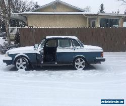 Volvo: 240 for Sale