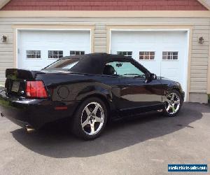 Ford: Mustang SVT Cobra