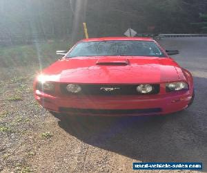 2008 Ford Mustang