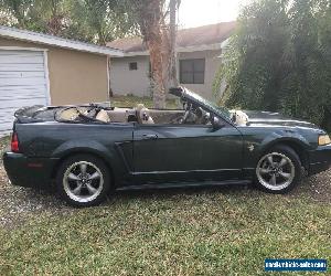 1999 Ford Mustang GT Convertible 2-Door