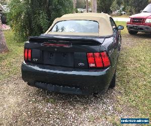 1999 Ford Mustang GT Convertible 2-Door