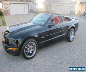 2006 Ford Mustang